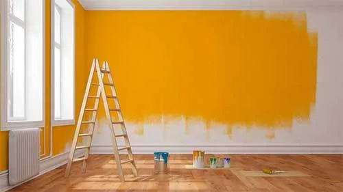 Color consulting